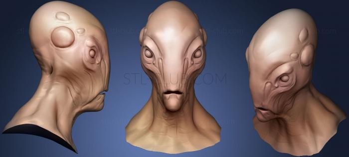 3D model Head Sculpt 9 (STL)